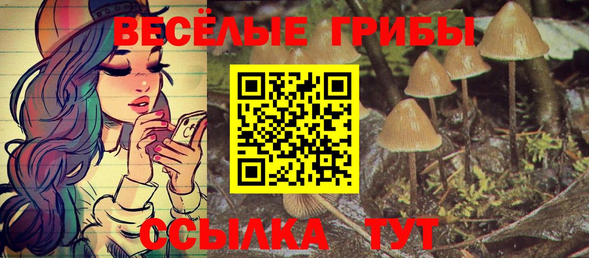 Псилоцибиновые грибы мицелий  Вход с VPN  Псилоцибиновые грибы прущие грибы  Кировск 